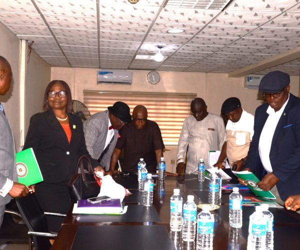 Bayelsa State Council on Public Procurement Meets on Direct Labour Threshold for MDAs
